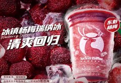 武汉瑞幸咖啡加盟需要多少预算-这些预算要提前准备好!